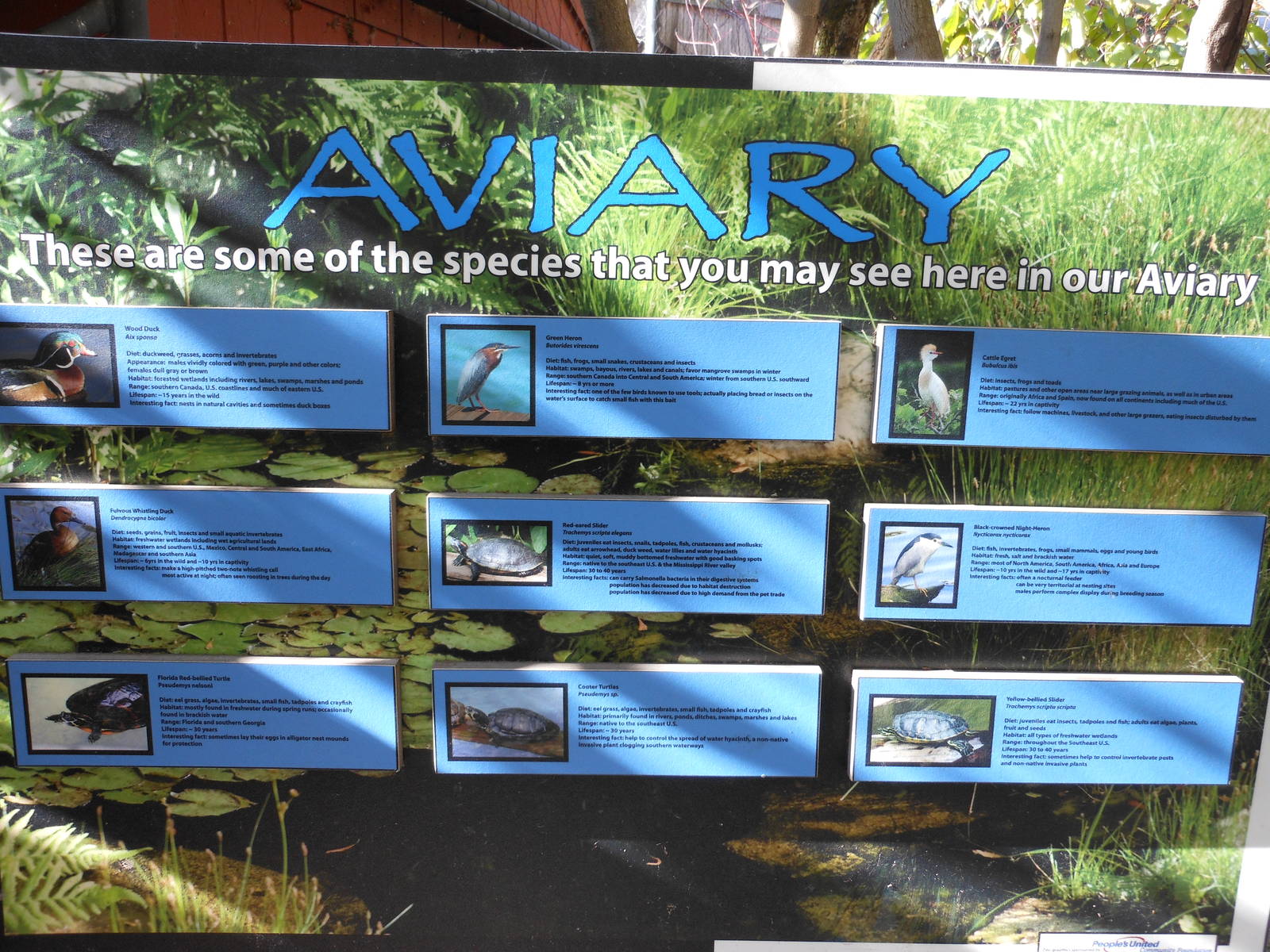 Beardsley Zoo- Alligator Alley- Walk-through Aviary Signage