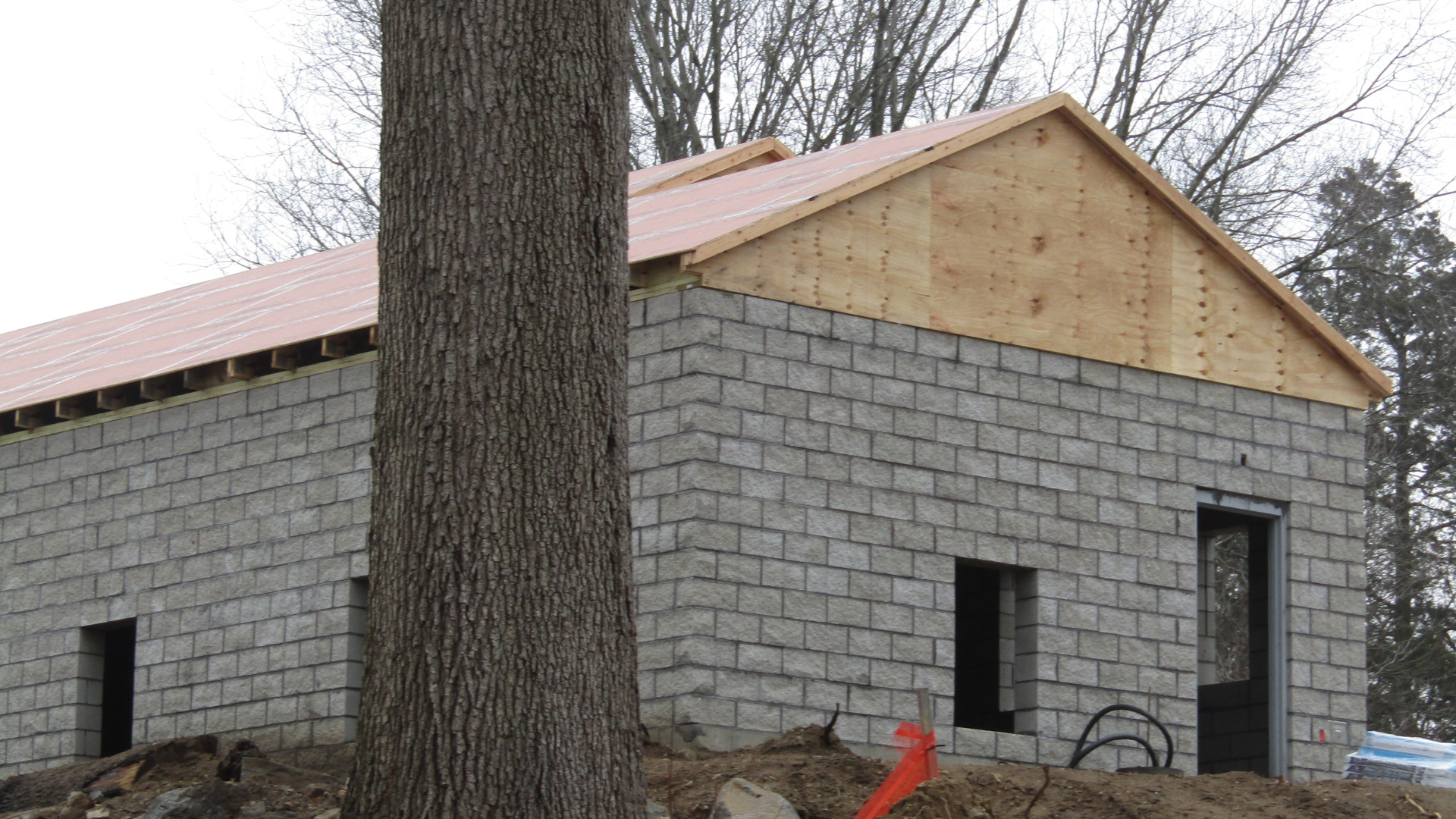 Beardsley Zoo Andean Bear Exhibit Construction