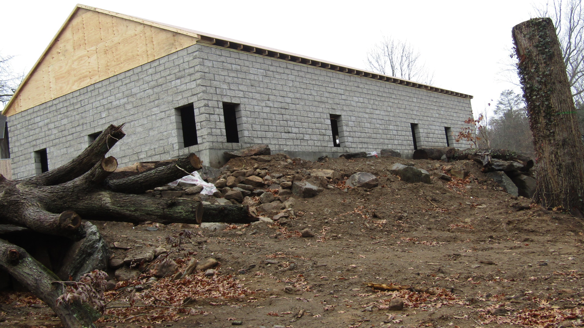 Beardsley Zoo Andean Bear Exhibit Construction