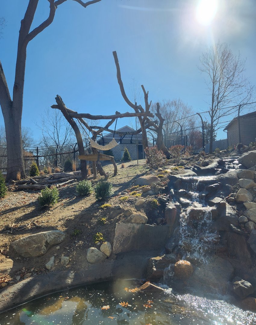 Beardsley Zoo - Spectacled Bear exhibit (main)