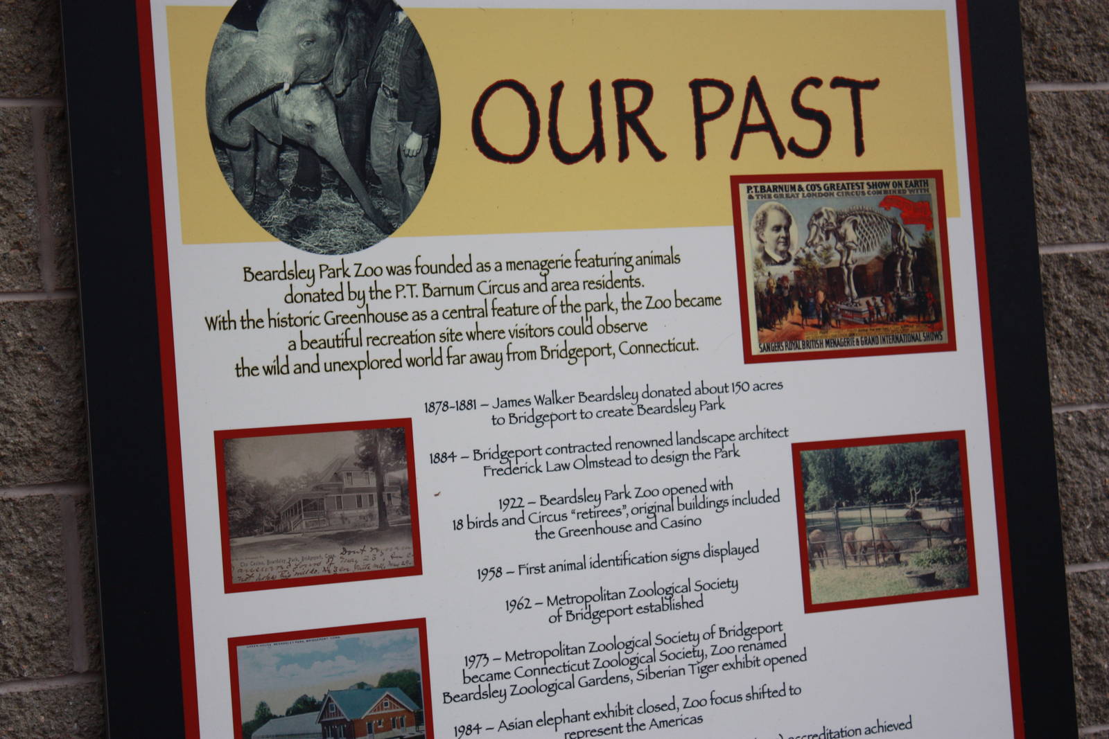 Beardsley Zoo- The Past