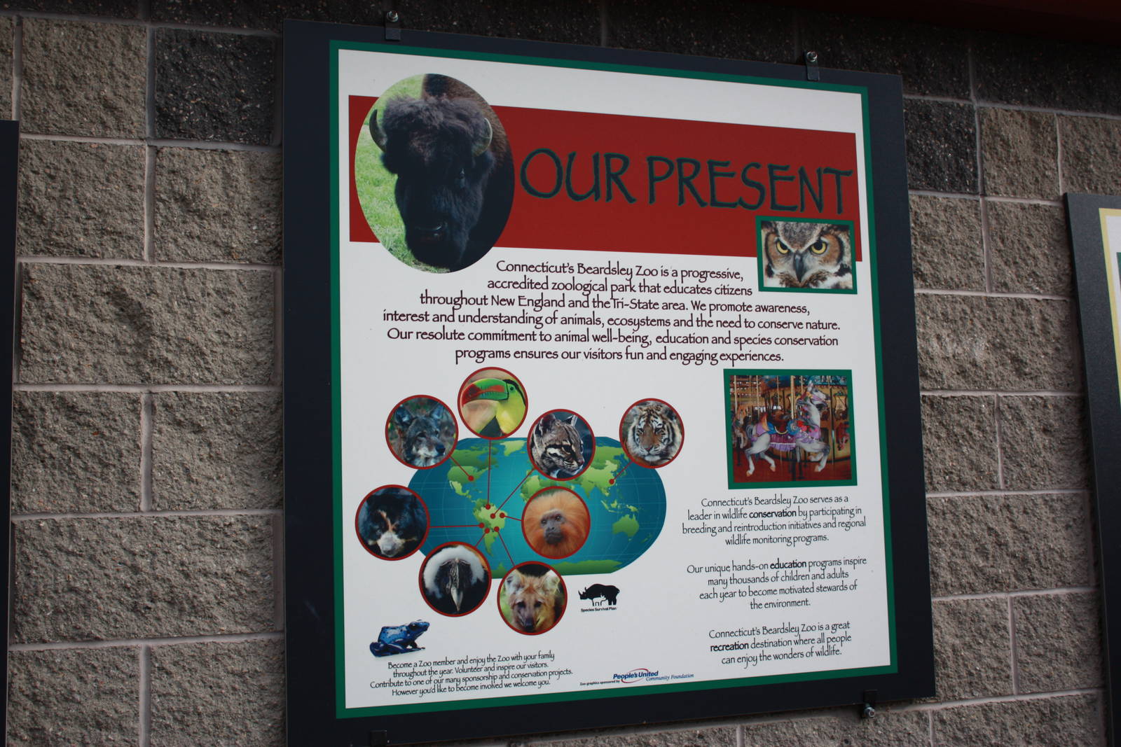 Beardsley Zoo- The Present