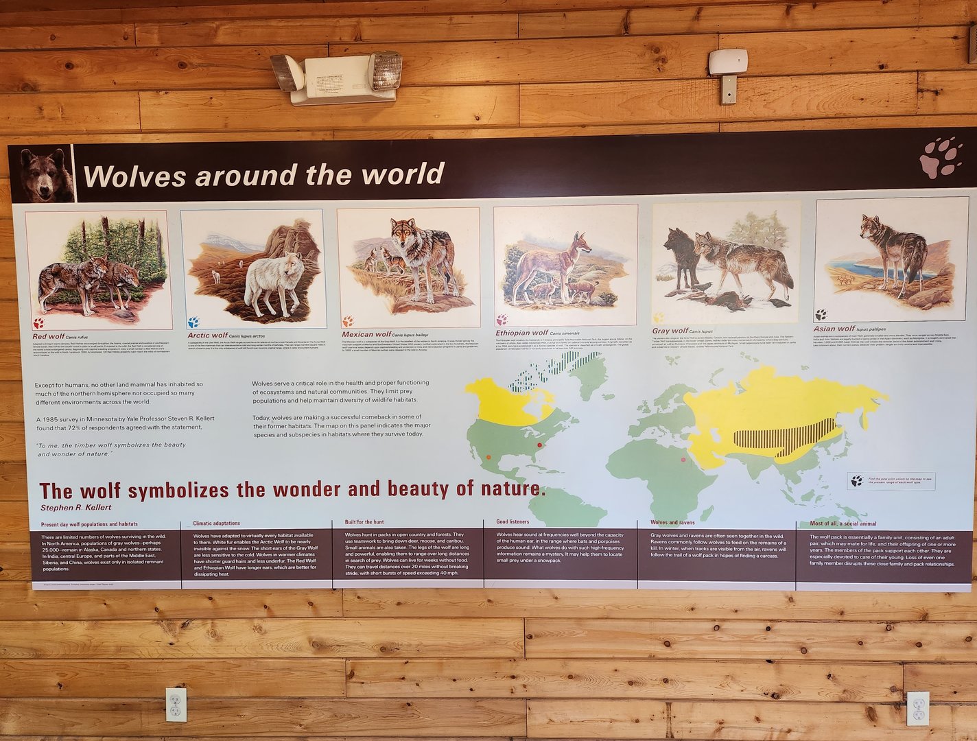 Beardsley Zoo - Wolves of the world