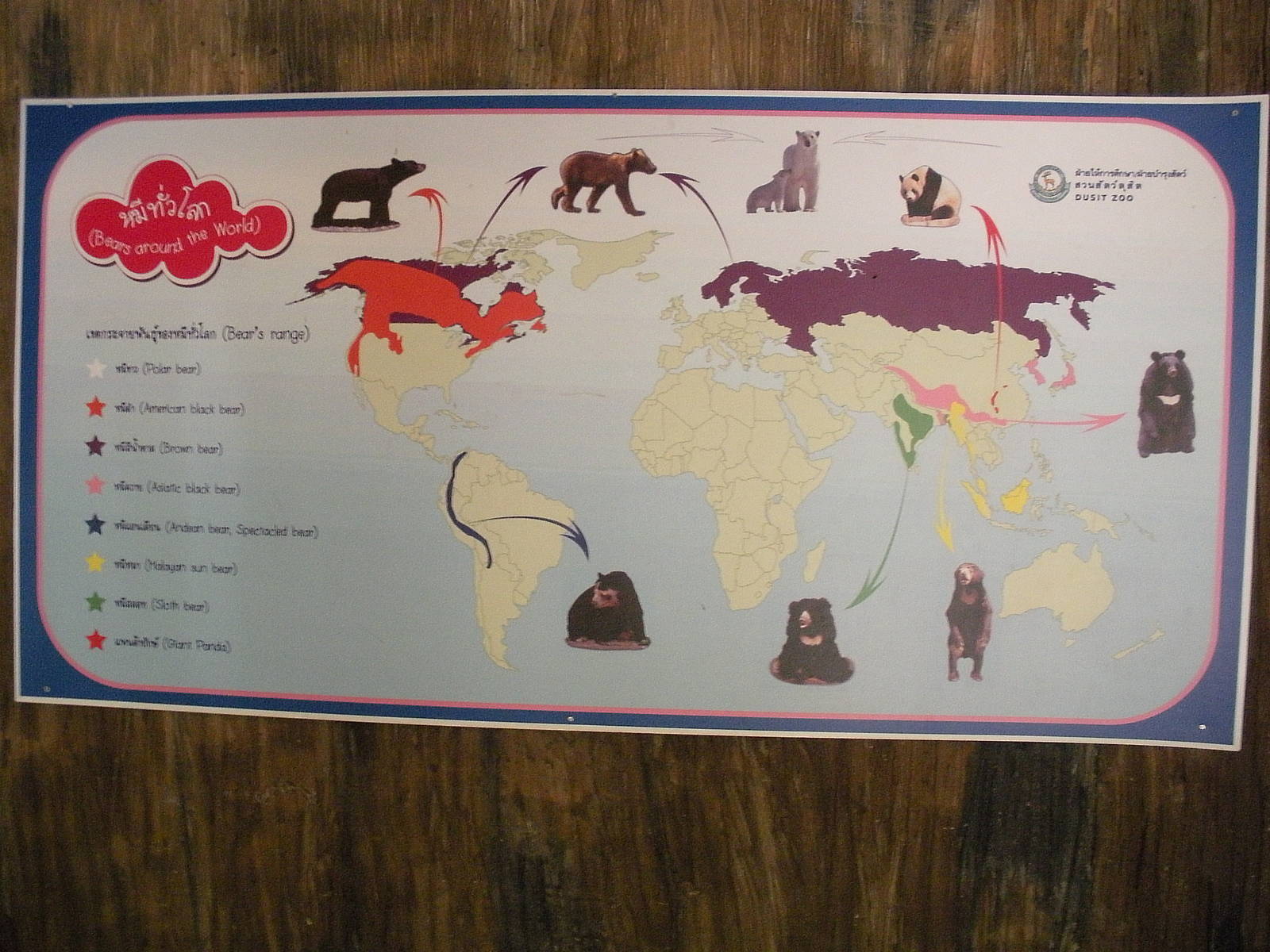 Bears around the World signage