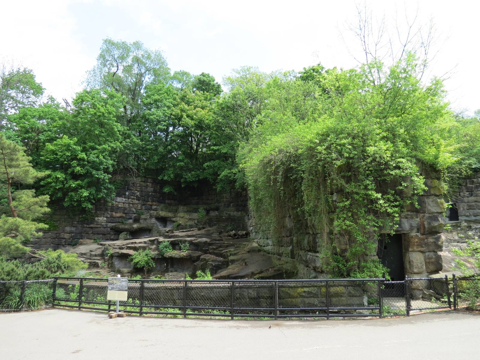 Bears - First Grotto (Empty)