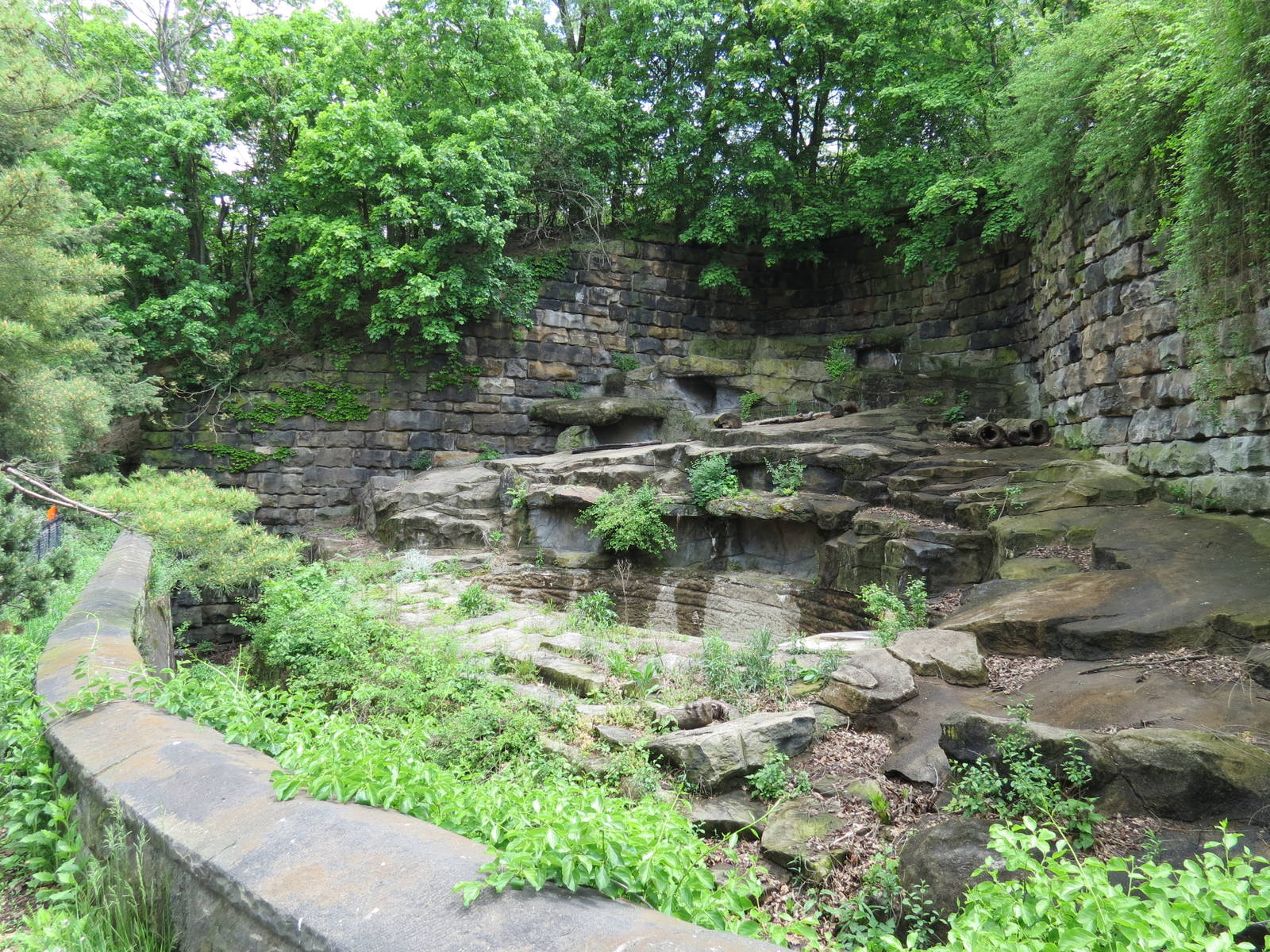 Bears - First Grotto (Empty)