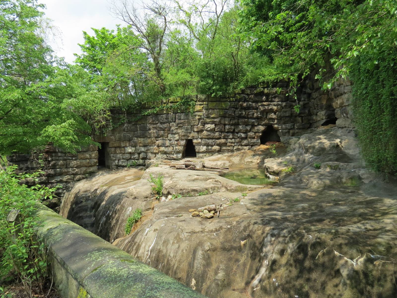 Bears - Fourth Grotto - American Black Bear Exhibit