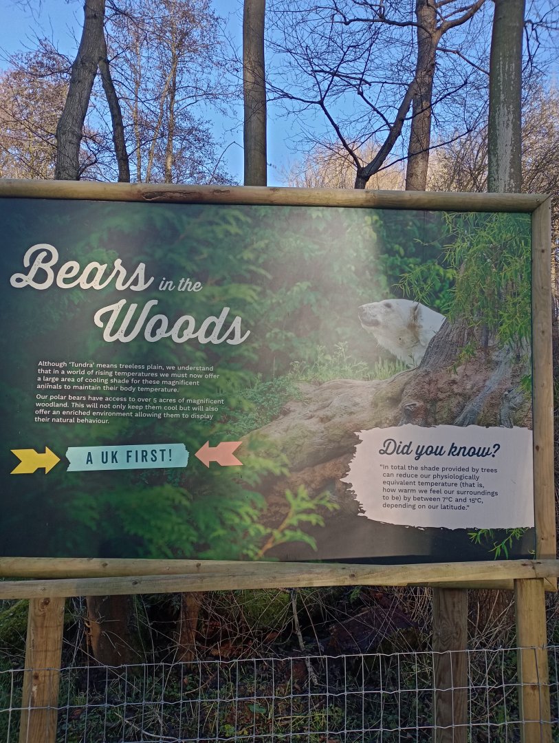 Bears in the woods sign