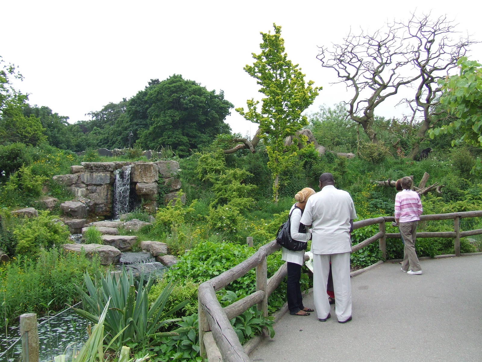 Bears of the Cloud Forest photos