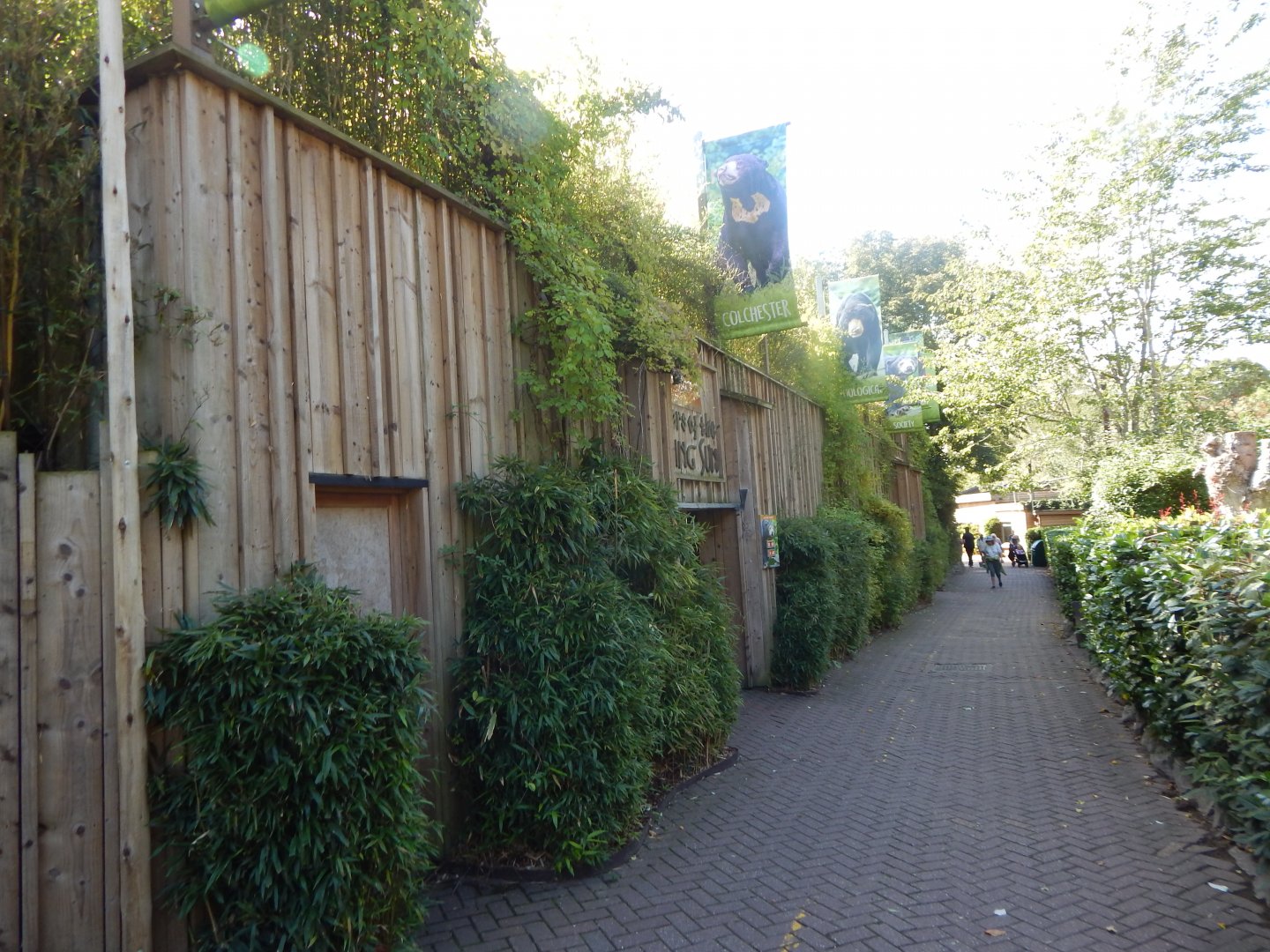Bears of the Rising Sun - Malayan sun bear enclosure 110925
