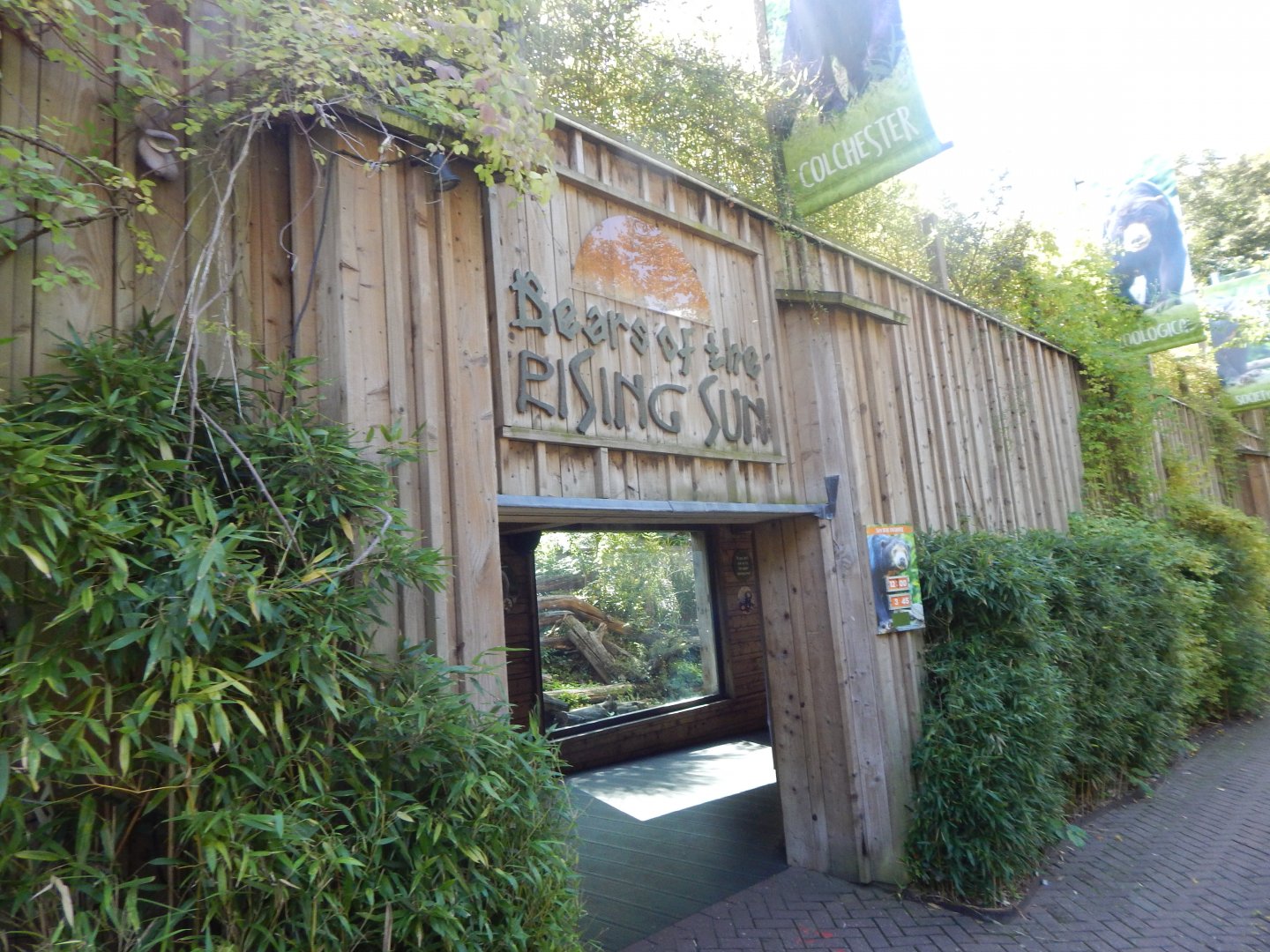 Bears of the Rising Sun - Malayan sun bear enclosure 110925