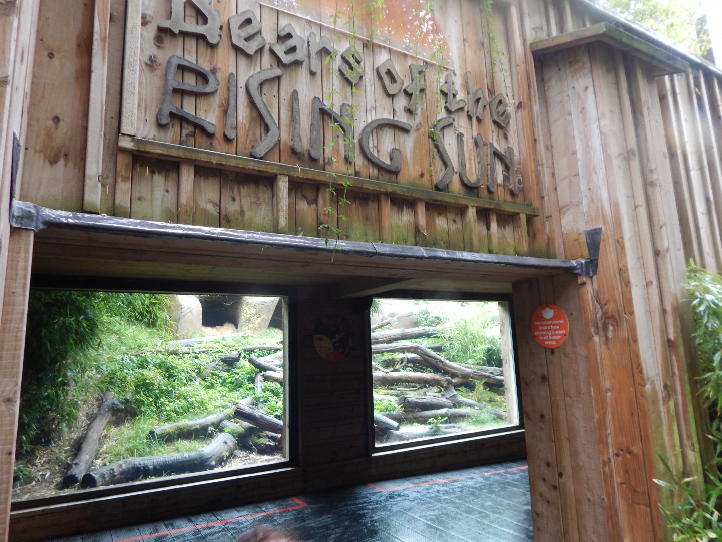 Bears of the Rising Sun - Sun bear exhibit 140921