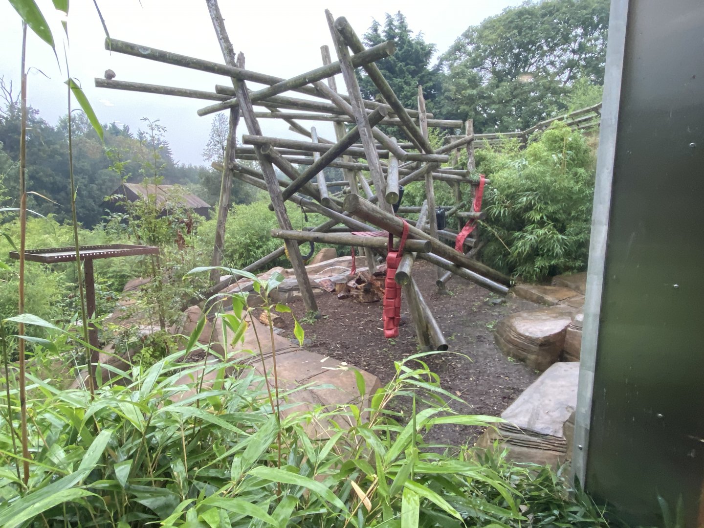 Bears of the Rising Sun - Sun bear exhibit 140921