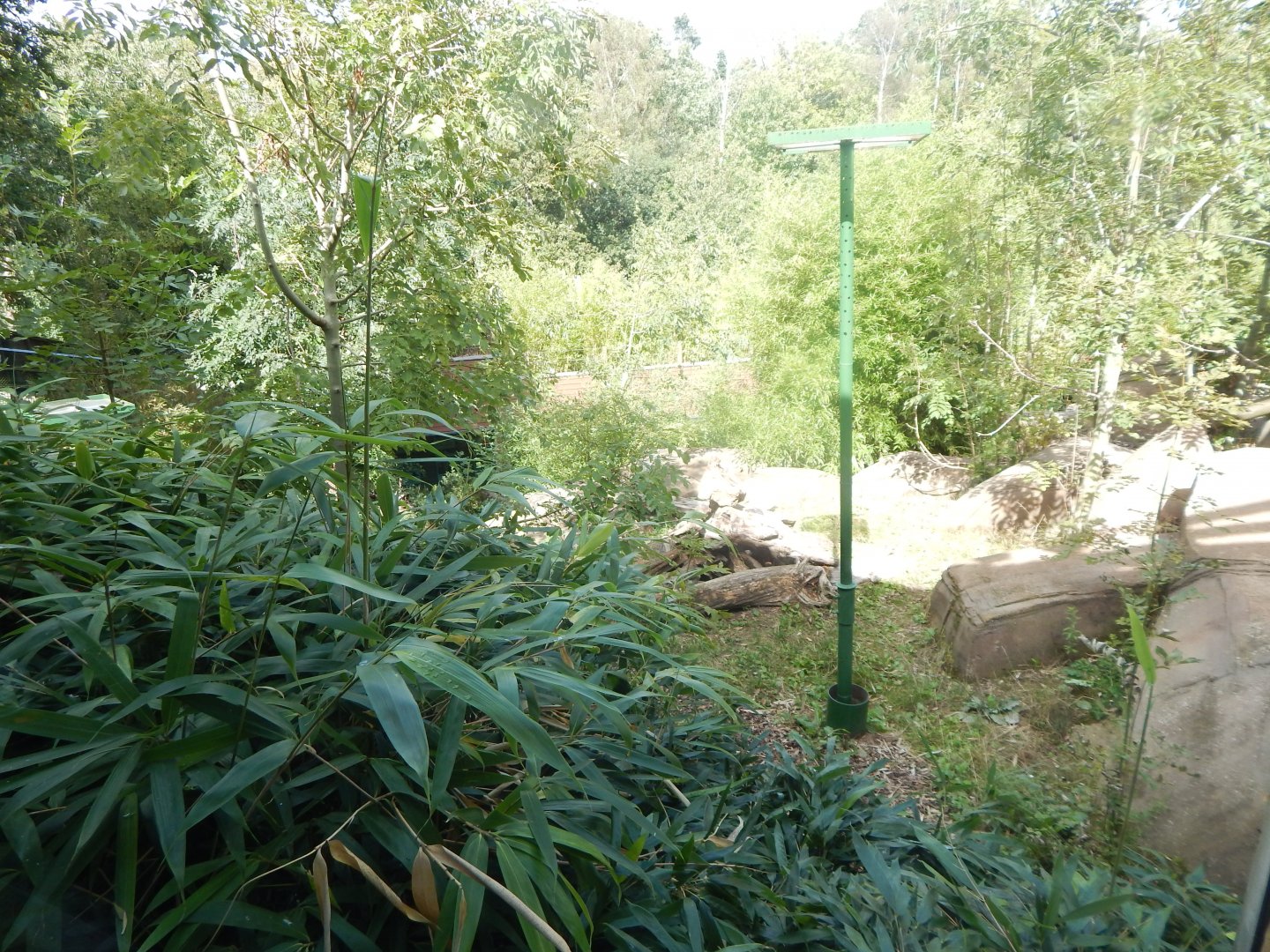 Bears of the Rising Sun - view from upper area 110925