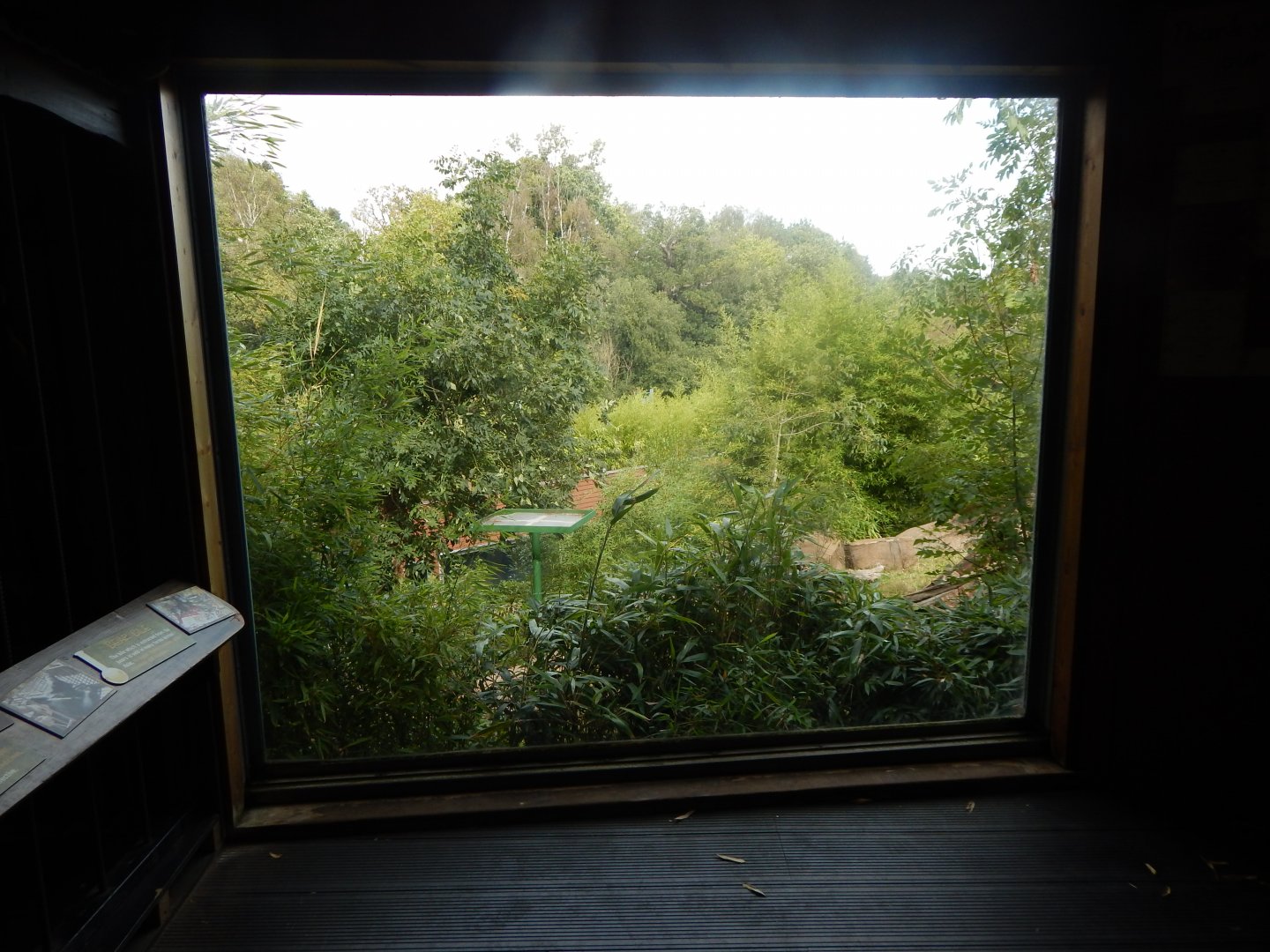 Bears of the Rising Sun - view from upper area 110925