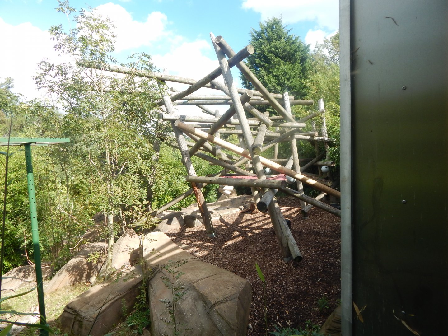 Bears of the Rising Sun - view from upper indoor area 110925