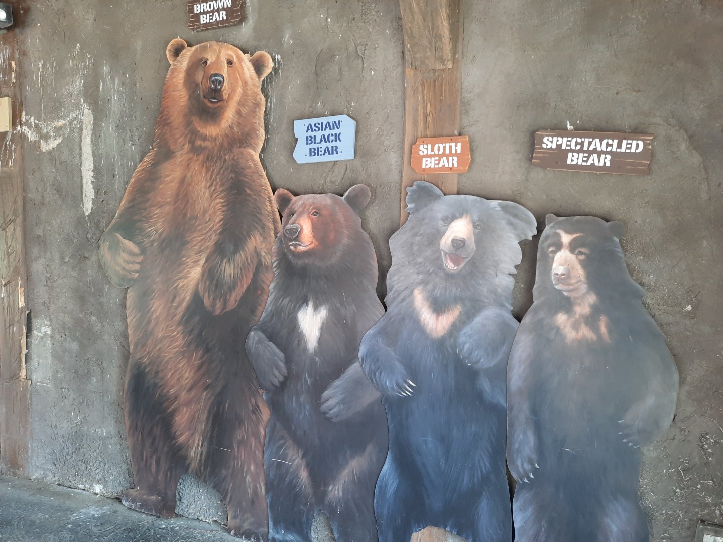 Bears of the World 1