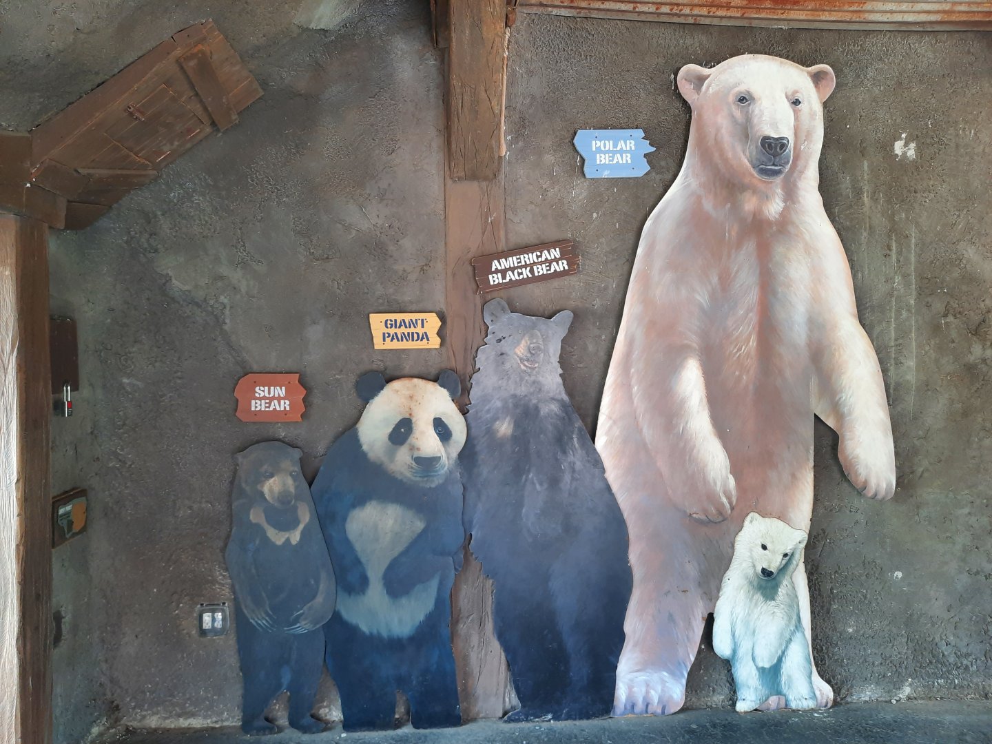 Bears of the World 2