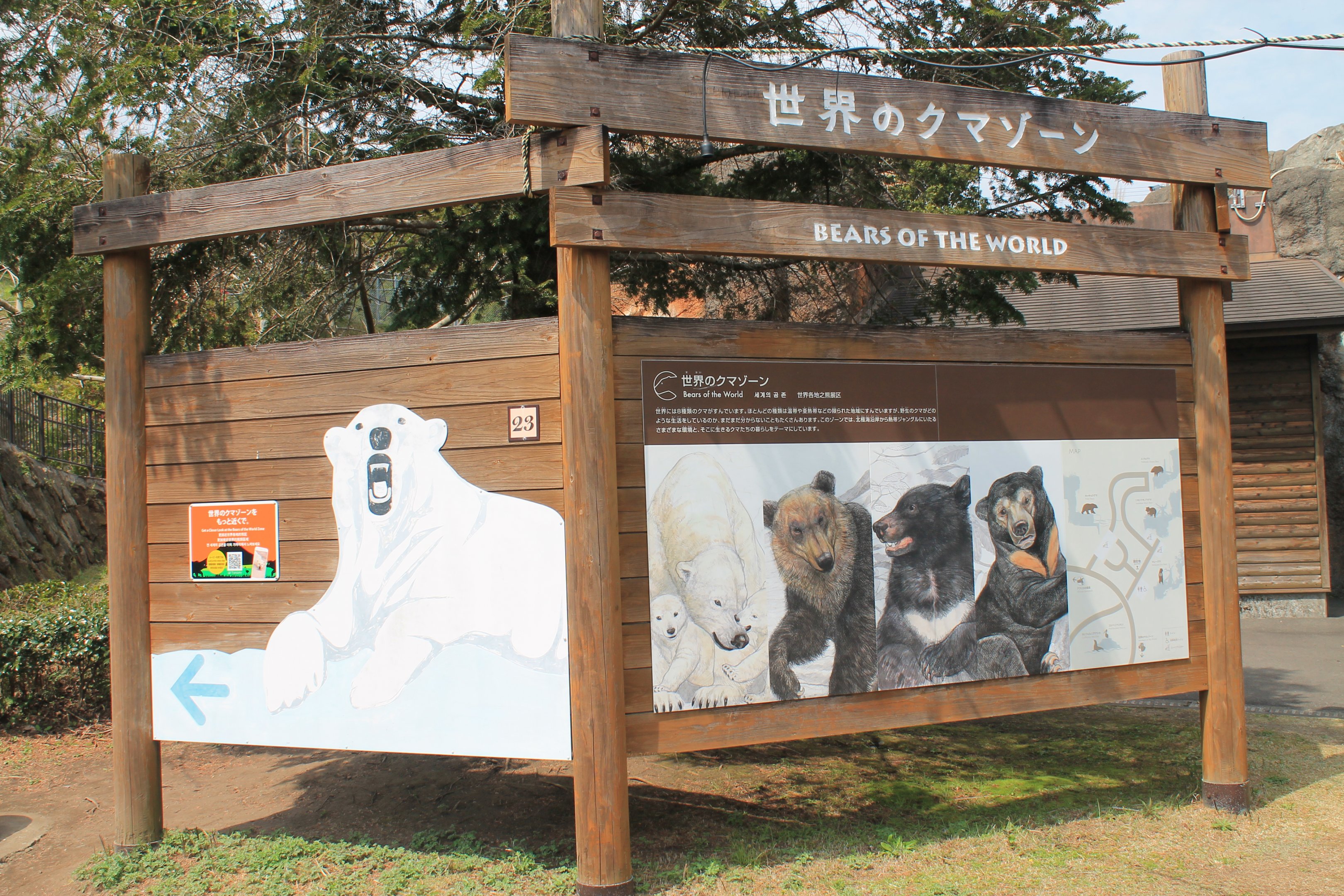 Bears of the World - Hirakawa Zoo (Kagoshima)
