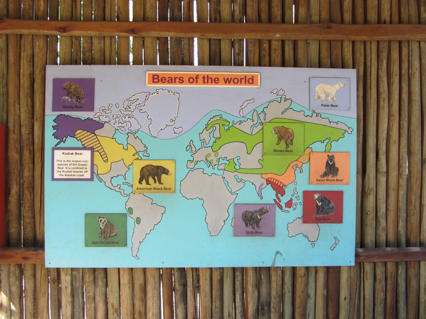 "Bears of the World" Signage