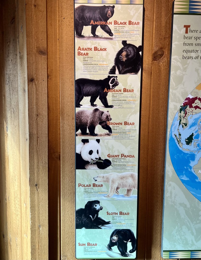 Bears of the