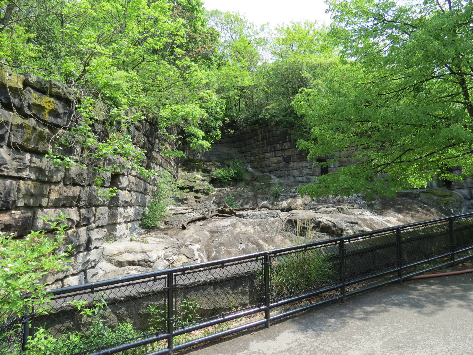 Bears - Second Grotto (Empty)