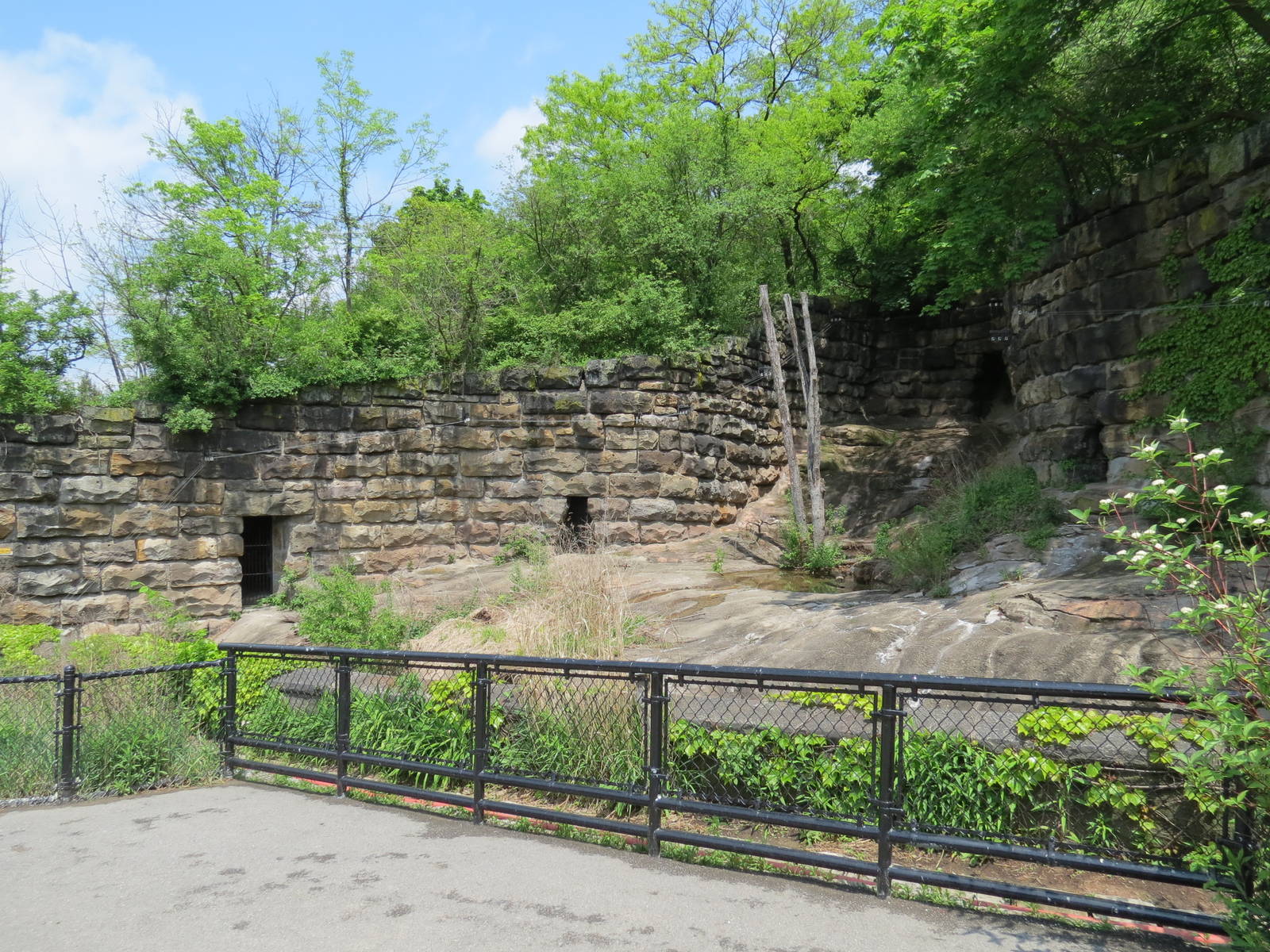 Bears - Third Grotto (Empty)