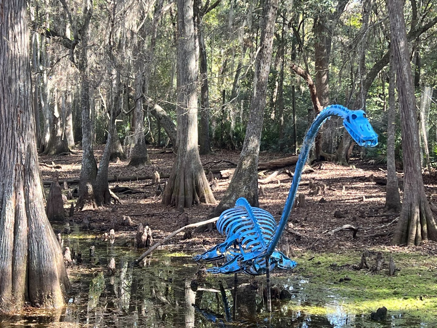 Beast of the Bayou…Plesiosaur