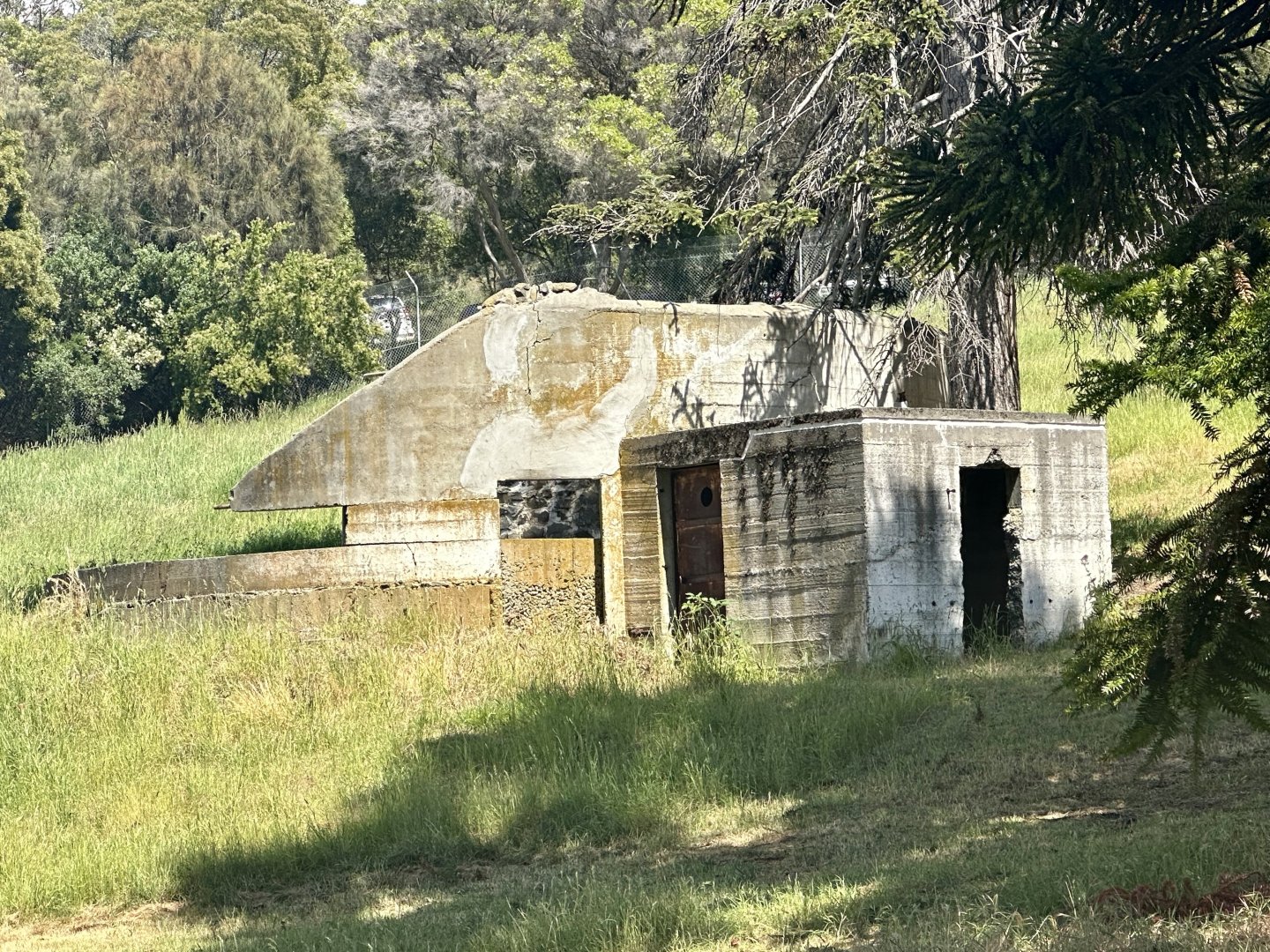 Beaumaris Zoo - Polar Bear Pit