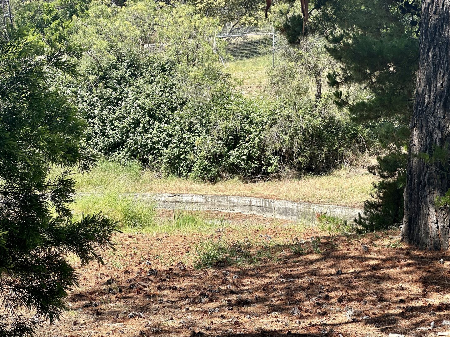 Beaumaris Zoo - Waterfowl Pond