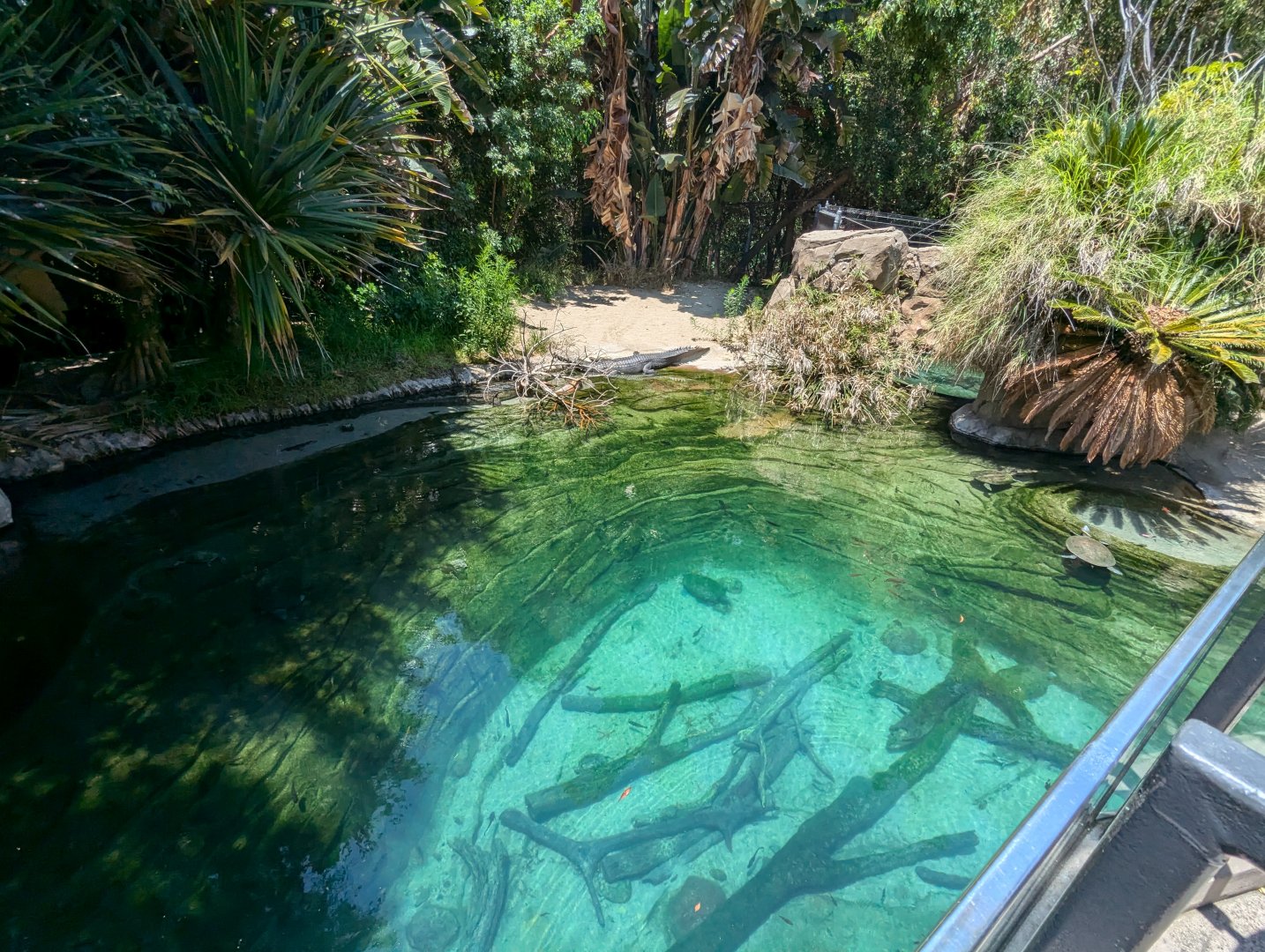 Beautiful Exhibit for Gharials and Turtles in Reptile Walk