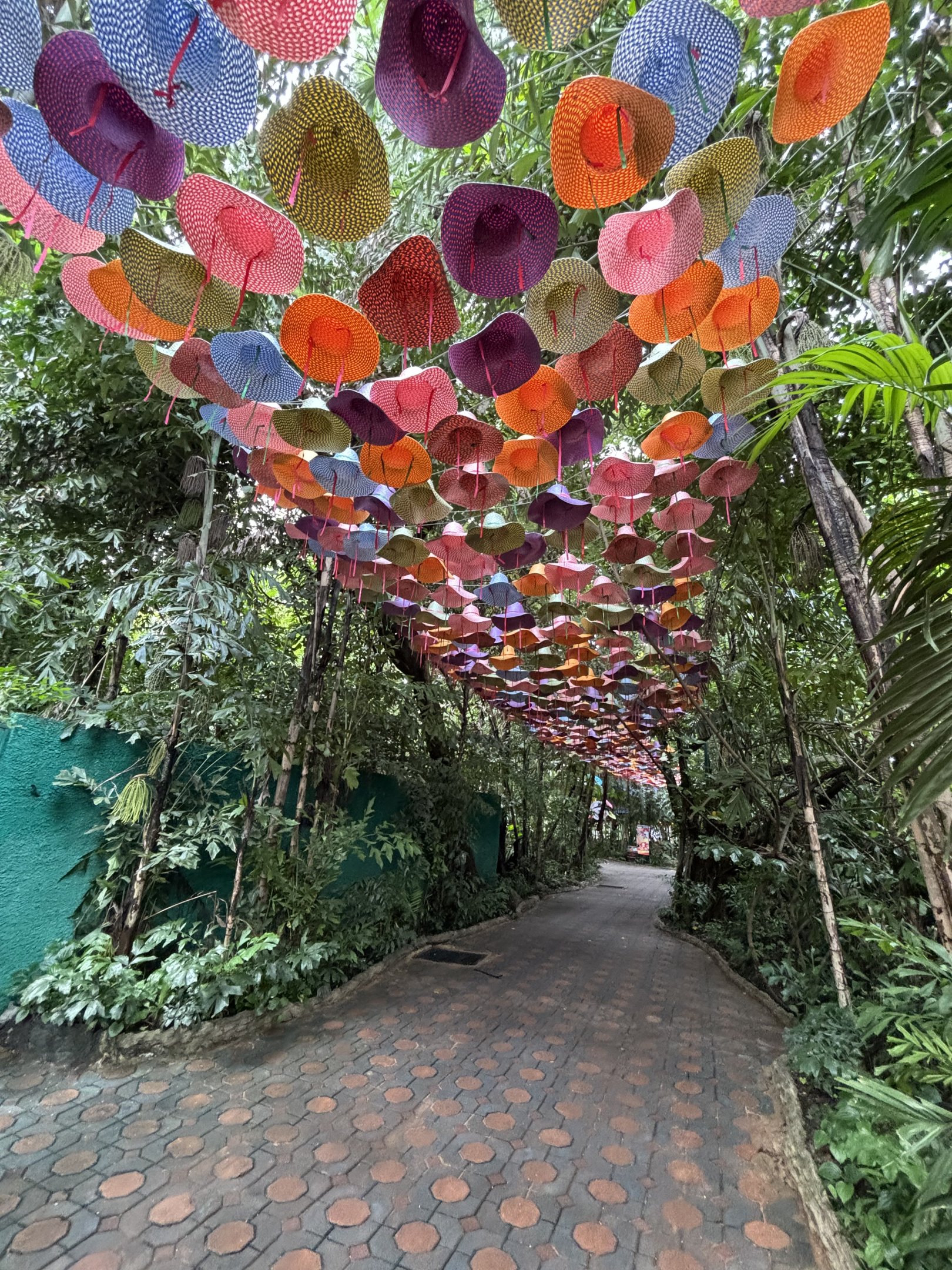 Beautiful Hat Walkway