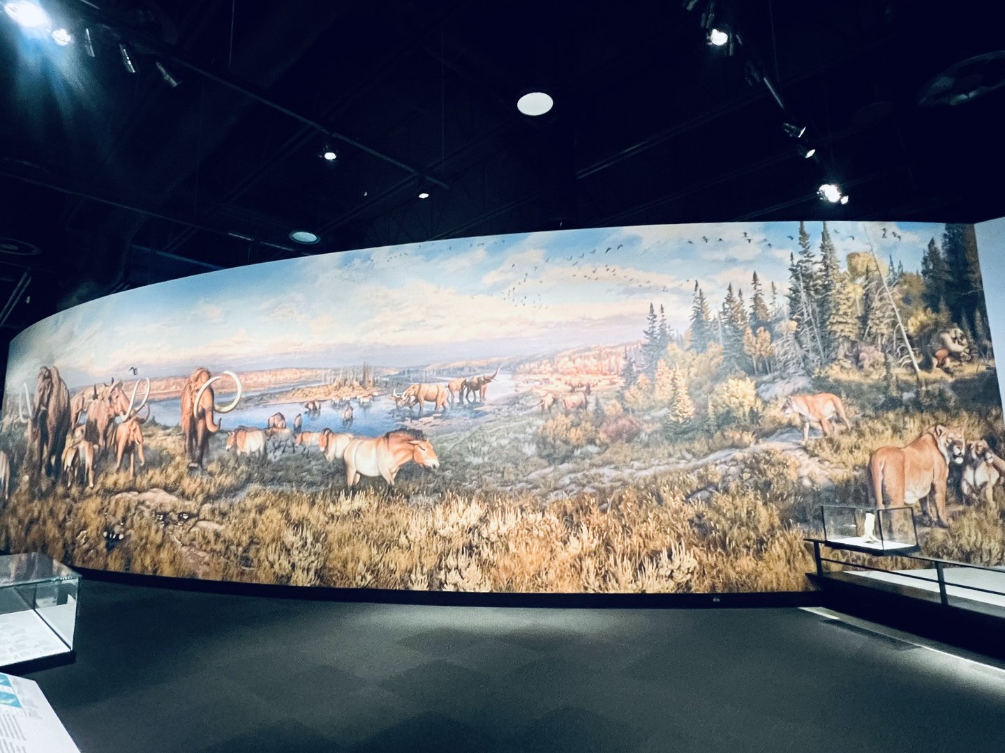 Beautiful Illustration. Did they have a print for purchase in the Museum Store?  No.