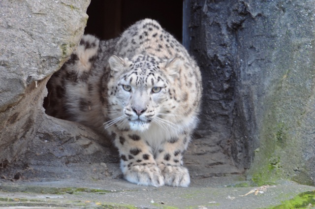 Beautiful Irina . . .