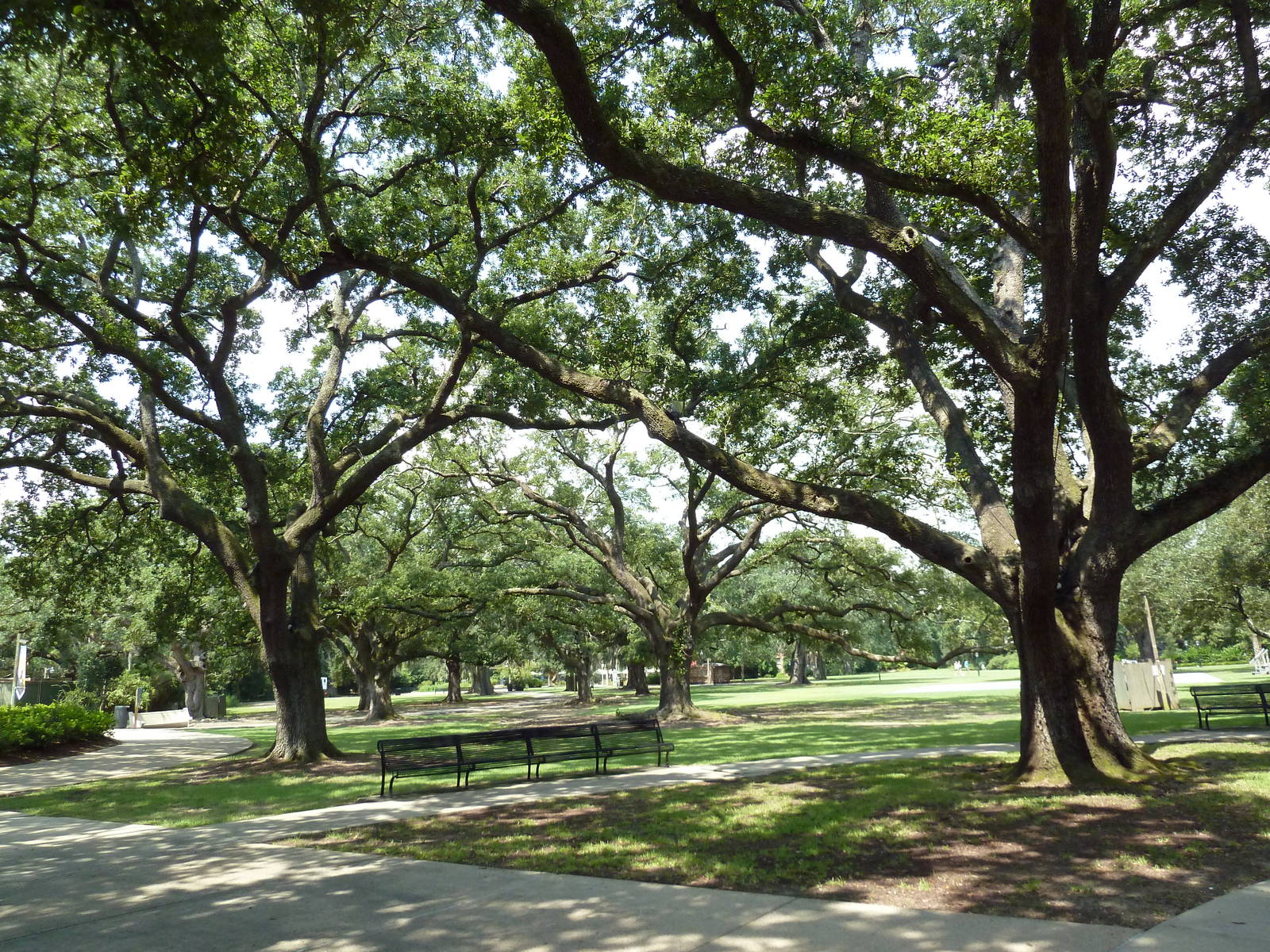 Beautiful Lawn/Picnic Area