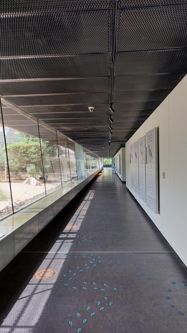 Beautiful modern architecture