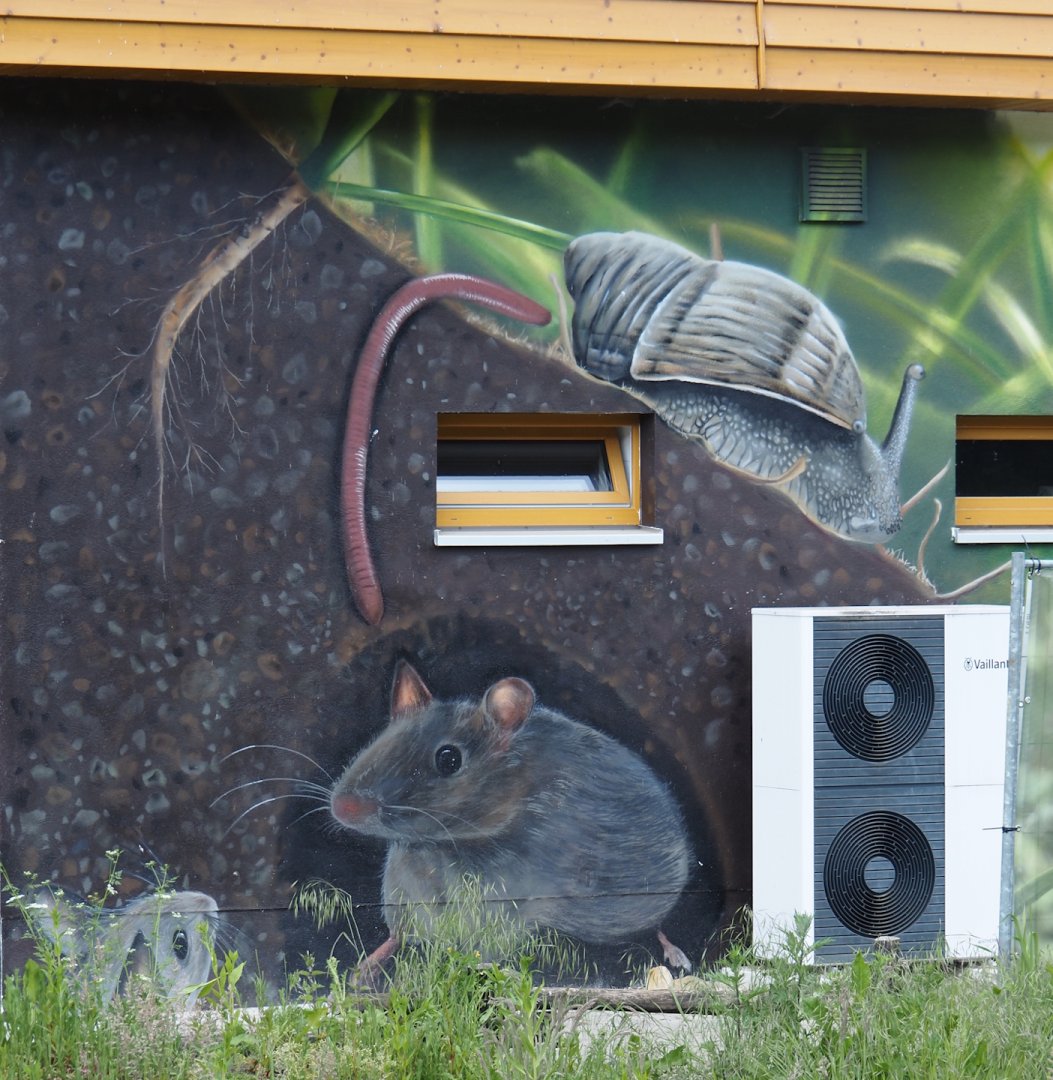 Beautiful murals on the Zoo School, 2025-05-22