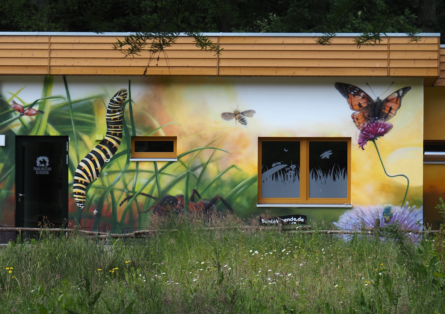 Beautiful murals on the Zoo School, 2025-05-22