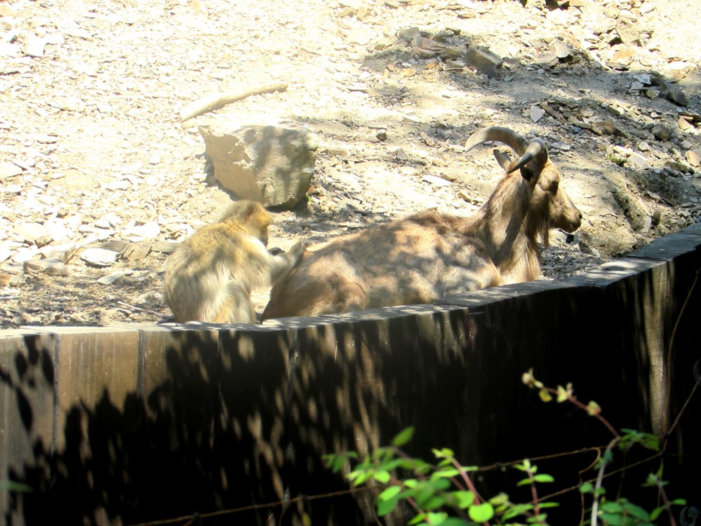 Beauty Salon - July/2017