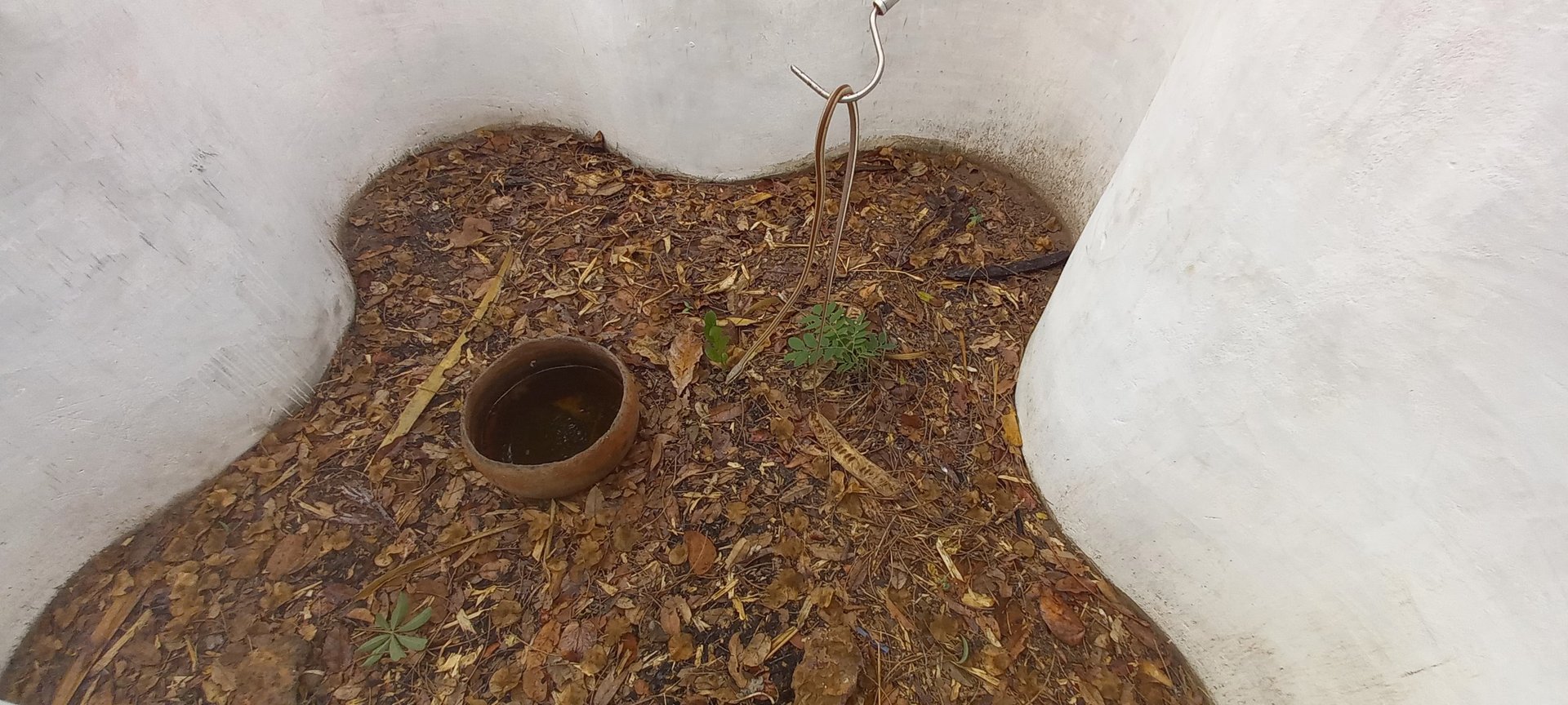 Beauty sandsnake enclosure