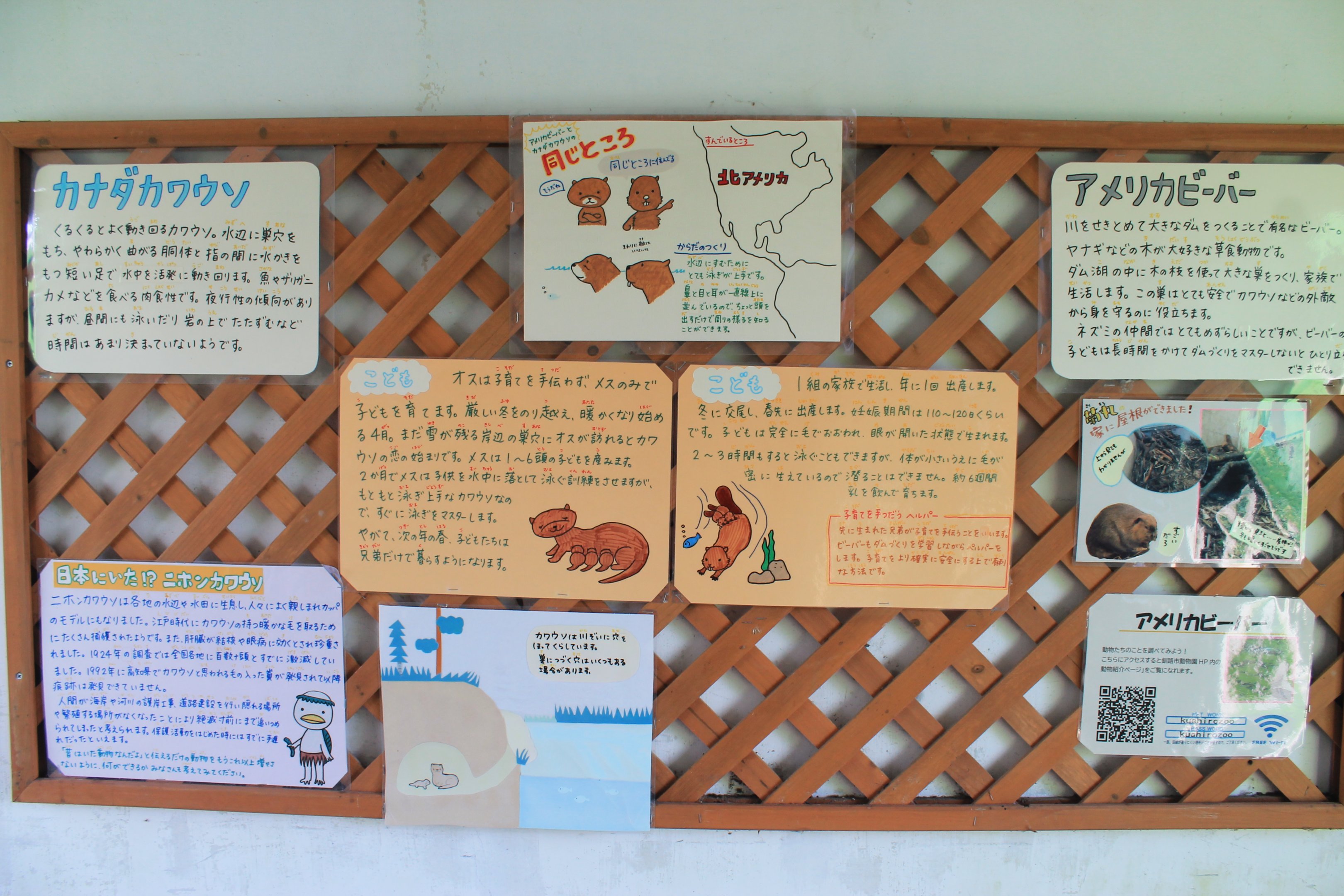 Beaver and otter signage, Kushiro Zoo