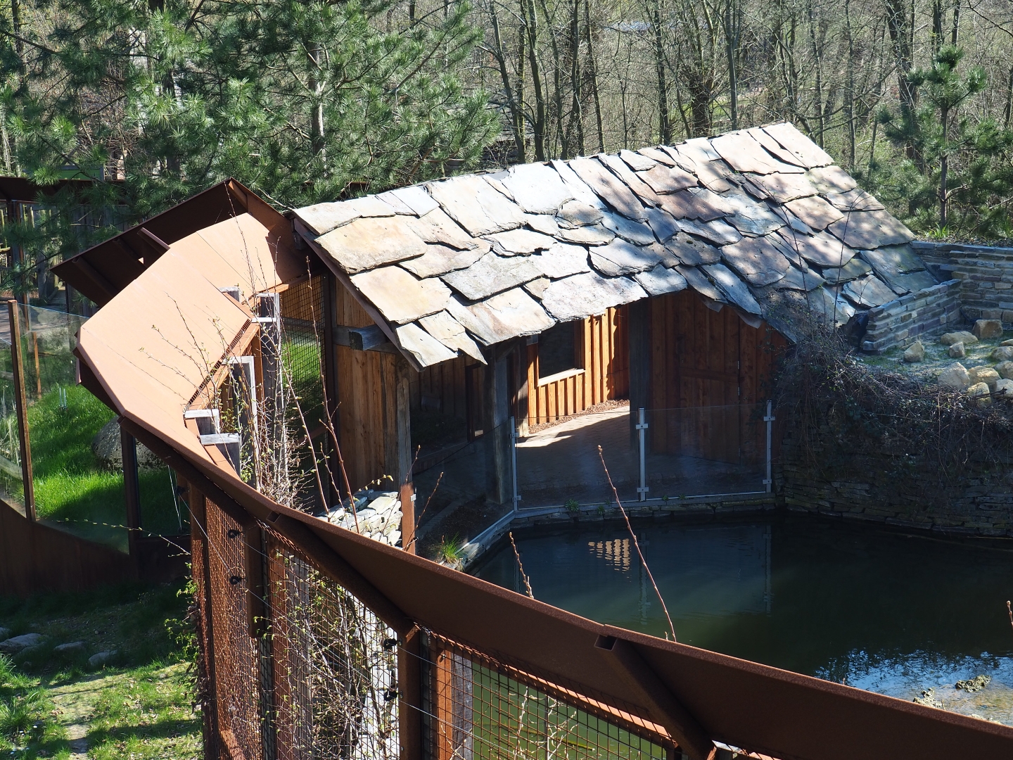 Beaver and tortoise shelter, 2019-03-30