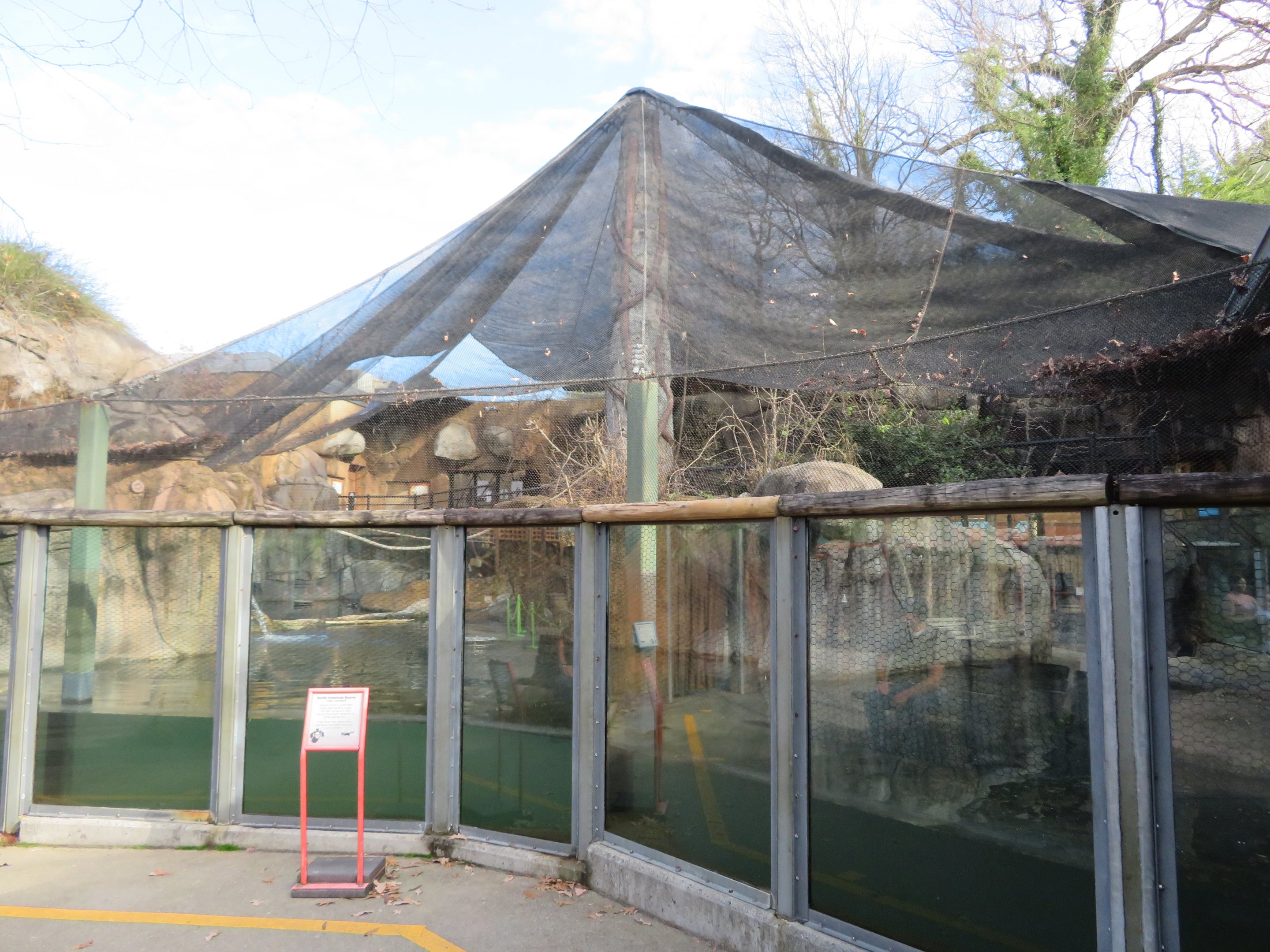 Beaver/Budgie Aviary