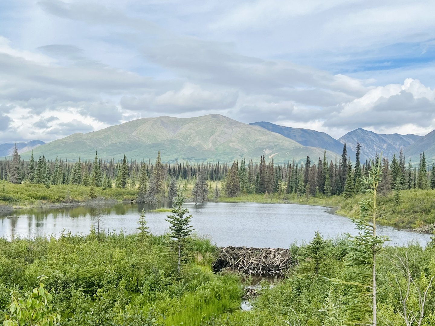 Beaver Dam? - Alaska