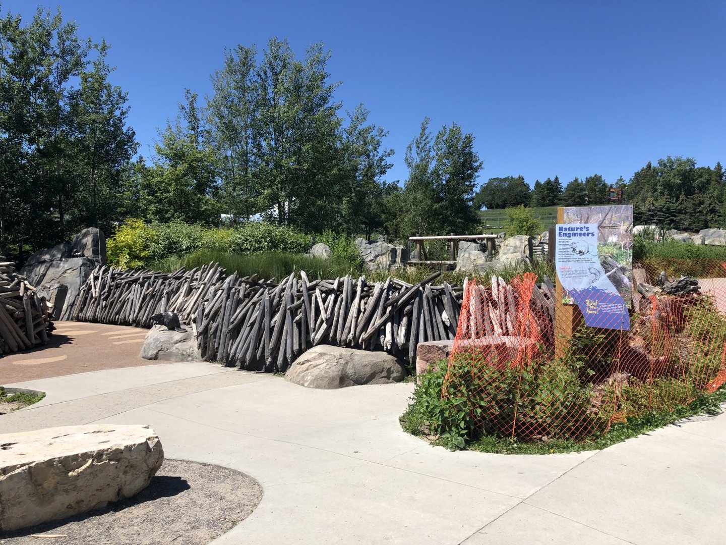 Beaver Dam at Edmonton Valley Zoo (July 2022)
