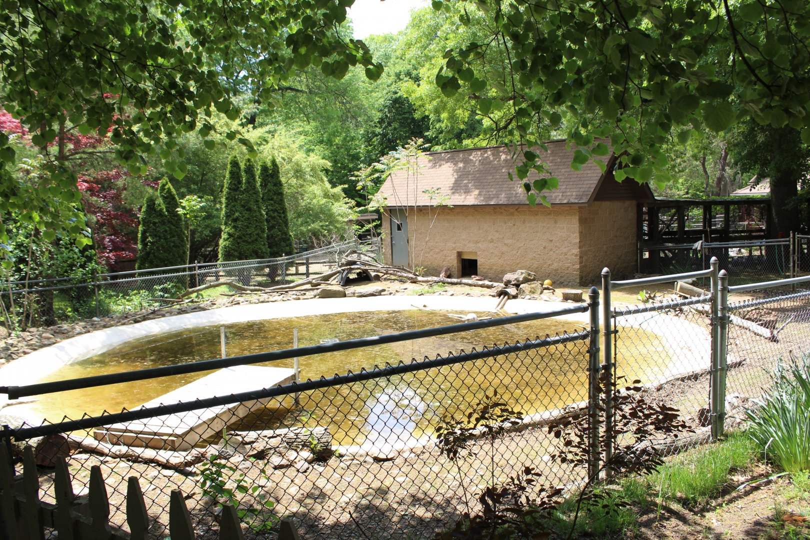 Beaver & Duck Enclosure