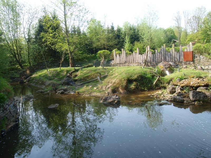 Beaver enclosure (May 2nd, 2015)
