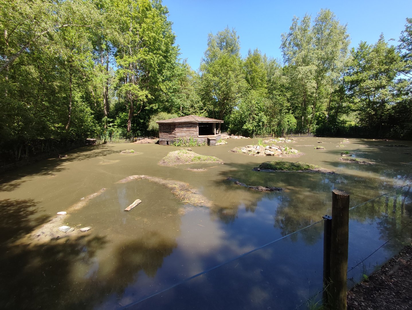 Beaver enclosure
