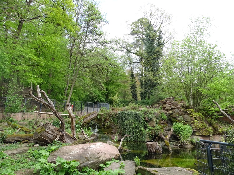 Beaver enclosure