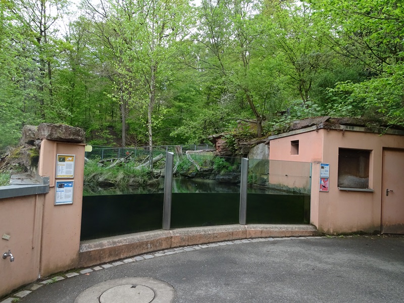 Beaver enclosure